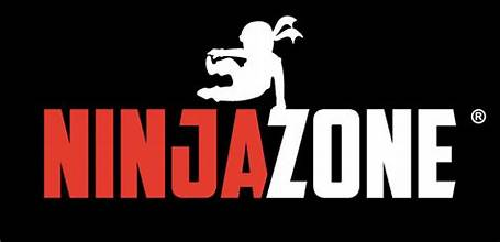 NinjaZone — a ninja silhouette balancing on the letter Z of the NinjaZone wordmark